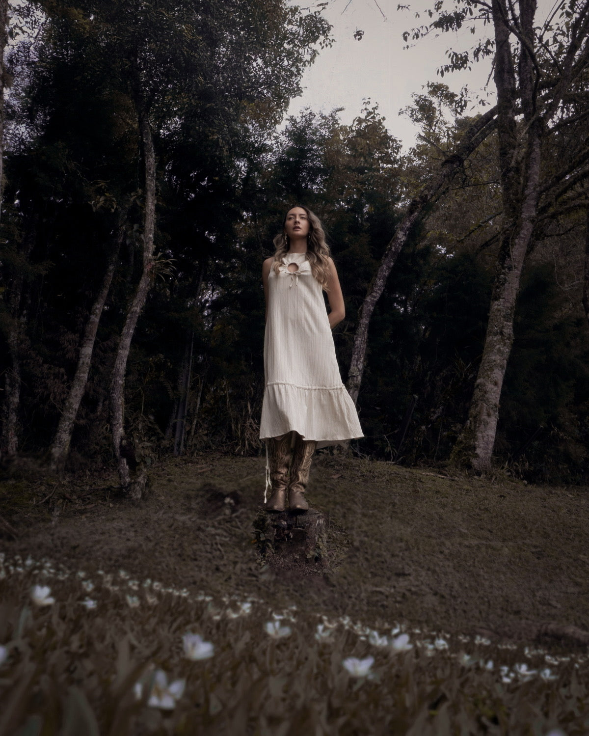 Terra Dress