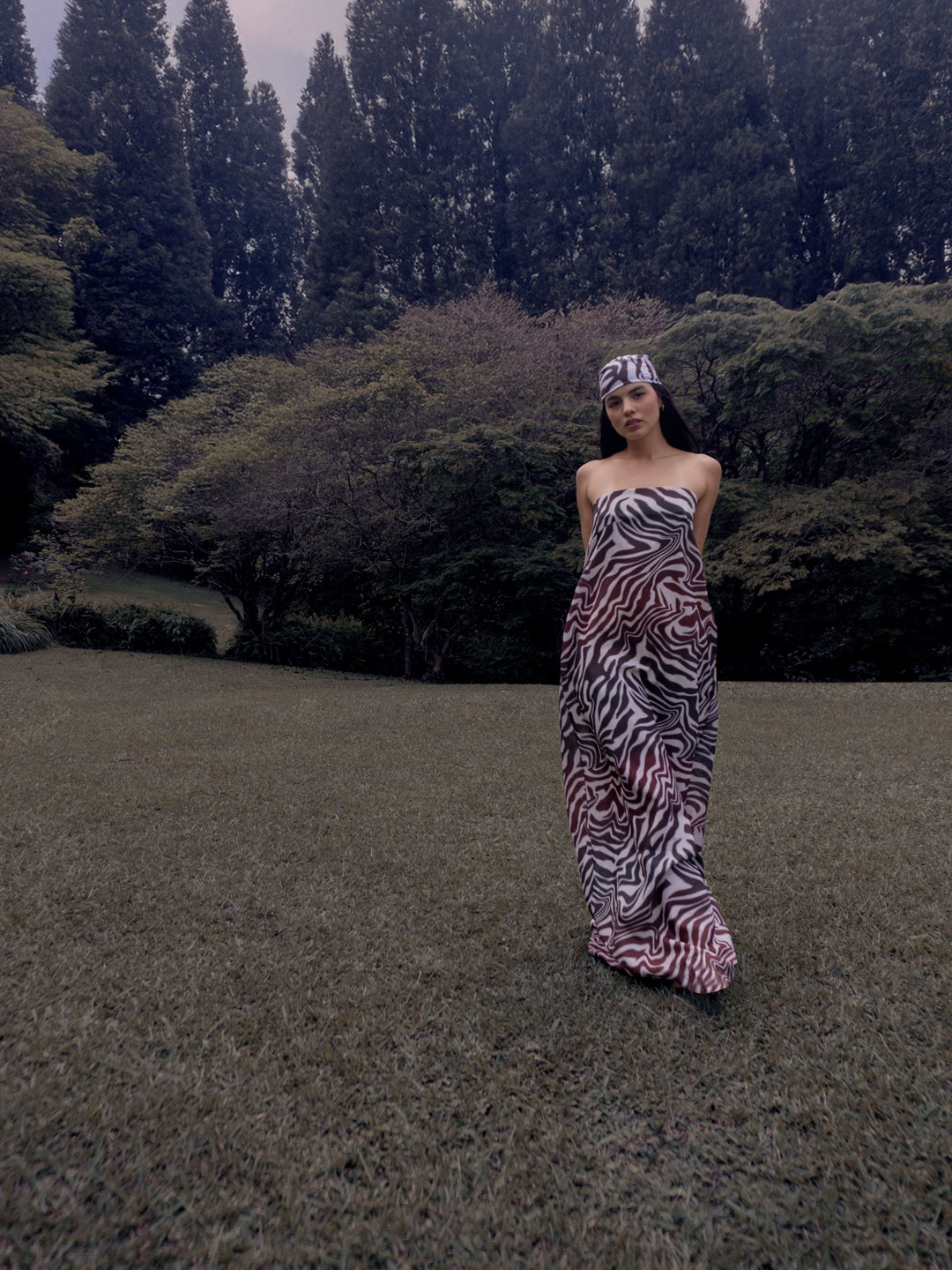 Bari Dress Print